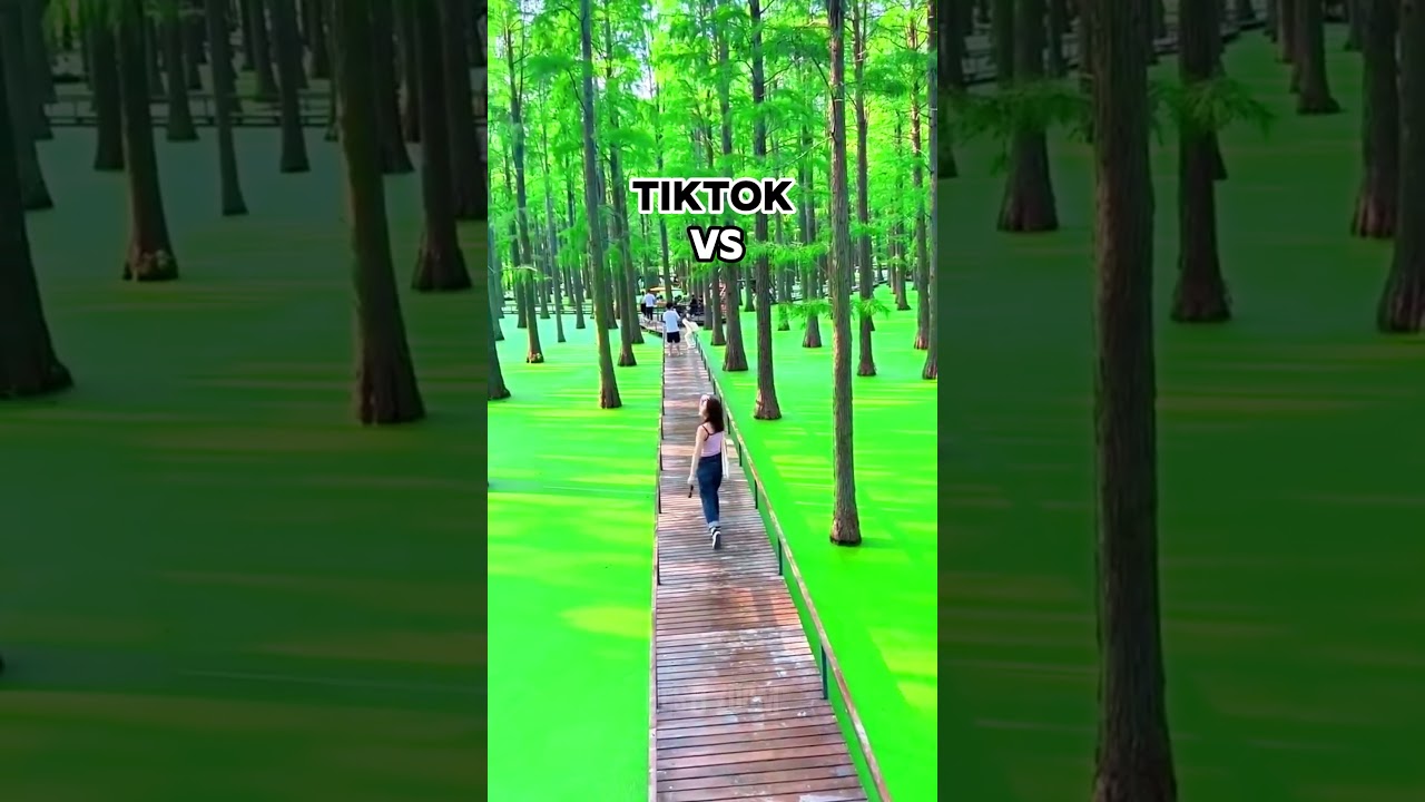 Tiktok vs Reality (Shocking) Part 16 #viralvideo #trending #shorts #travel #socialmedia