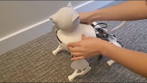 Building a Quadruped Catbot