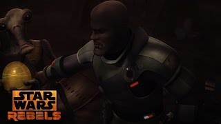 Star Wars Rebels: Saw Gerrera's insists Klik klak is coming with him