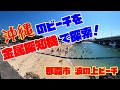 金属探知機で沖縄の浜を探索！遠征一発勝負！