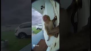 Would U Open The Door And Save Him?