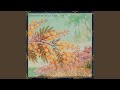 Beneath The Acacia Tree