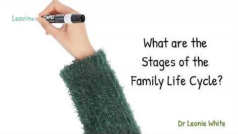 The Family Life Cycle