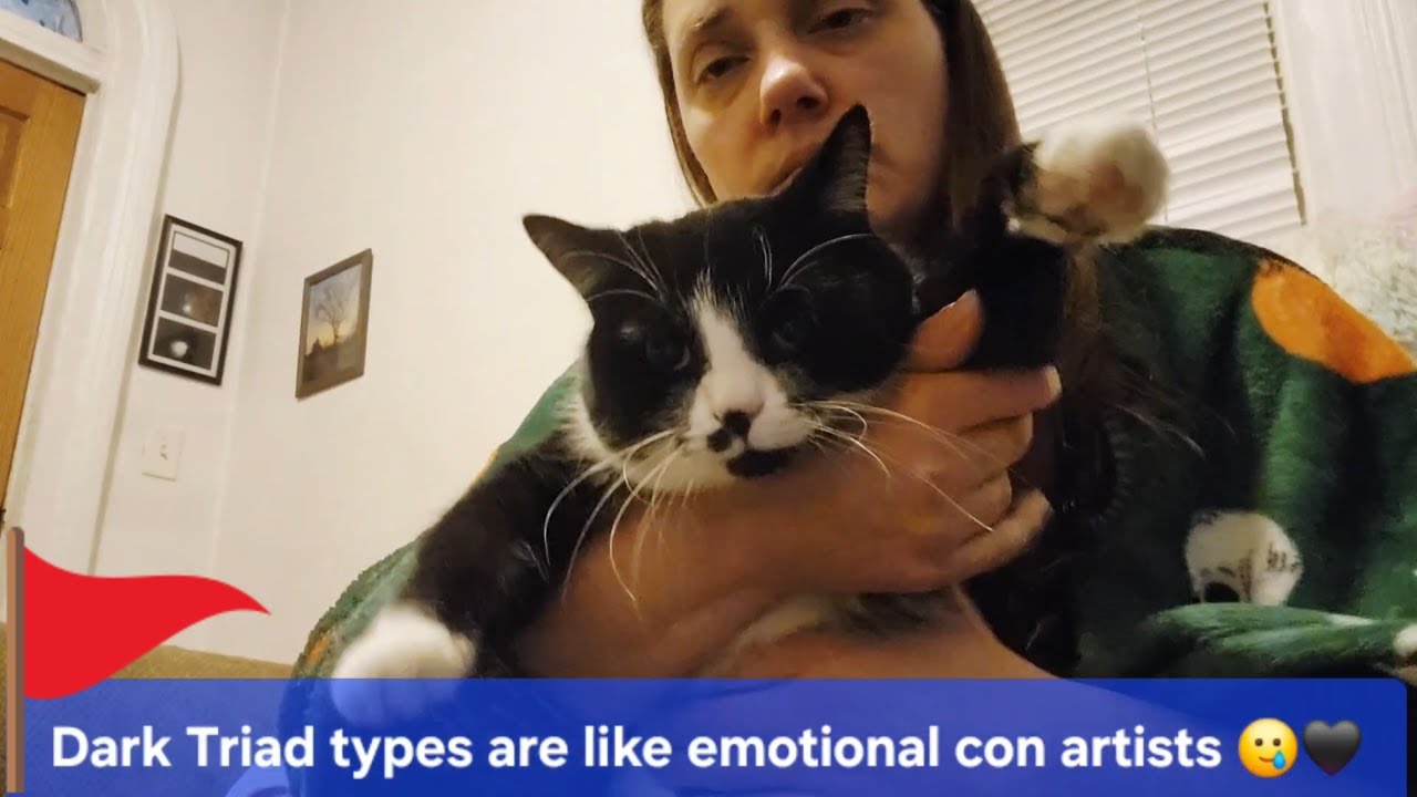 Dark Triad Abusers Are Emotional Con Artists 🎭🖤