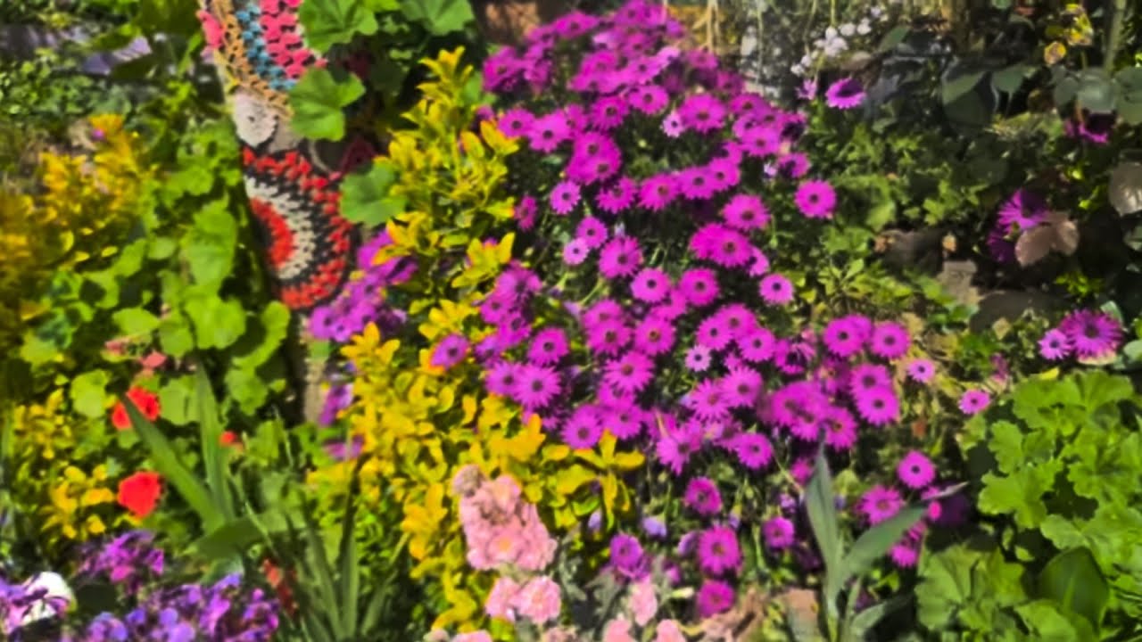 Dünyanın En Güzel 25 Çiçeği ve Ağlayan Kalpler