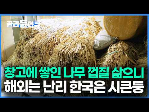 Selling for 150 Million Won: The product being forgotten in Korea but shocking the world｜Luxury H...