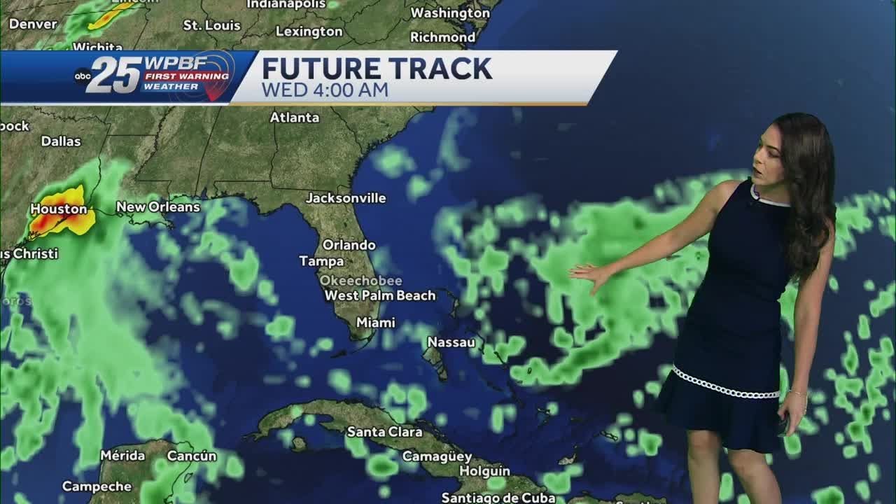 Drier Sunday across South Florida, watching the tropics this week - YouTube