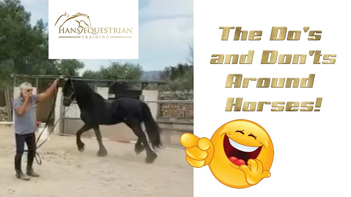 The Do's And Don'ts Around Horses! - Safety Tips For Horse Riders