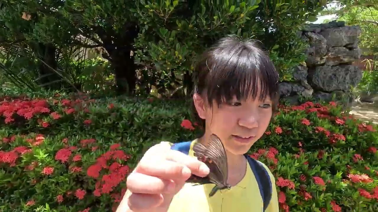 2023 7 12 歌詩達郵輪 石垣島 第四天