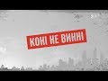 Коні не винні – Секретні матеріали