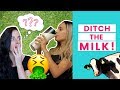 IS MILK BAD FOR YOU? (The Truth About Dairy)