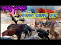                manoranjan vlog  mayurbhanj odisha