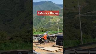 Работа в Корее для иностранцев на солнечных батареях