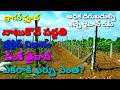 Dragon fruit | Pink taiwan | trellis for Dragon fruit | Dragon fruit cultivation telugu | vvr telugu