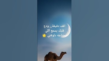 اقف دقيقة… ودع قلبك يسمع اللي محتاجه دلوقتي 🌟#peacefulquran #تلاوة_هادئة