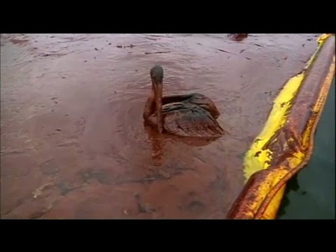 Video: Vad orsakade oljeutsläppet från BP?
