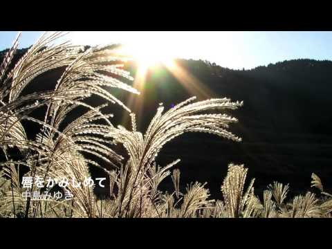 唇をかみしめて (練習中)(中島みゆき)[歌ってみた] {ピコピコぱんだ♂} 【Cover/カバー】
