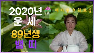 2020운세보기 기사생(뱀띠) 32세 1989년생