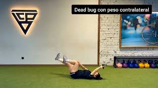 Dead bug contralateral