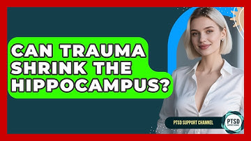 Can Trauma Shrink The Hippocampus? - PTSD Support Channel