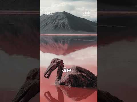 بحيرة النطرون