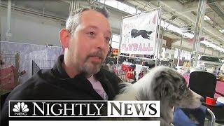 Ruff Competition: Dogs Descend on Indianapolis for Fast-Action Flyball | NBC Nightly News screenshot 5