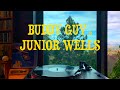 Buddy Guy  &amp; Junior Wells - Alone &amp; Acoustic