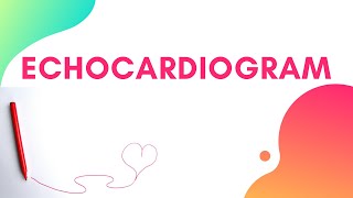 What Echocardiogram Tells About Heart