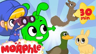 Morphle | Animal Spotting with Orphle | Fun Animal Cartoons | Kids Videos | Learning for Kids