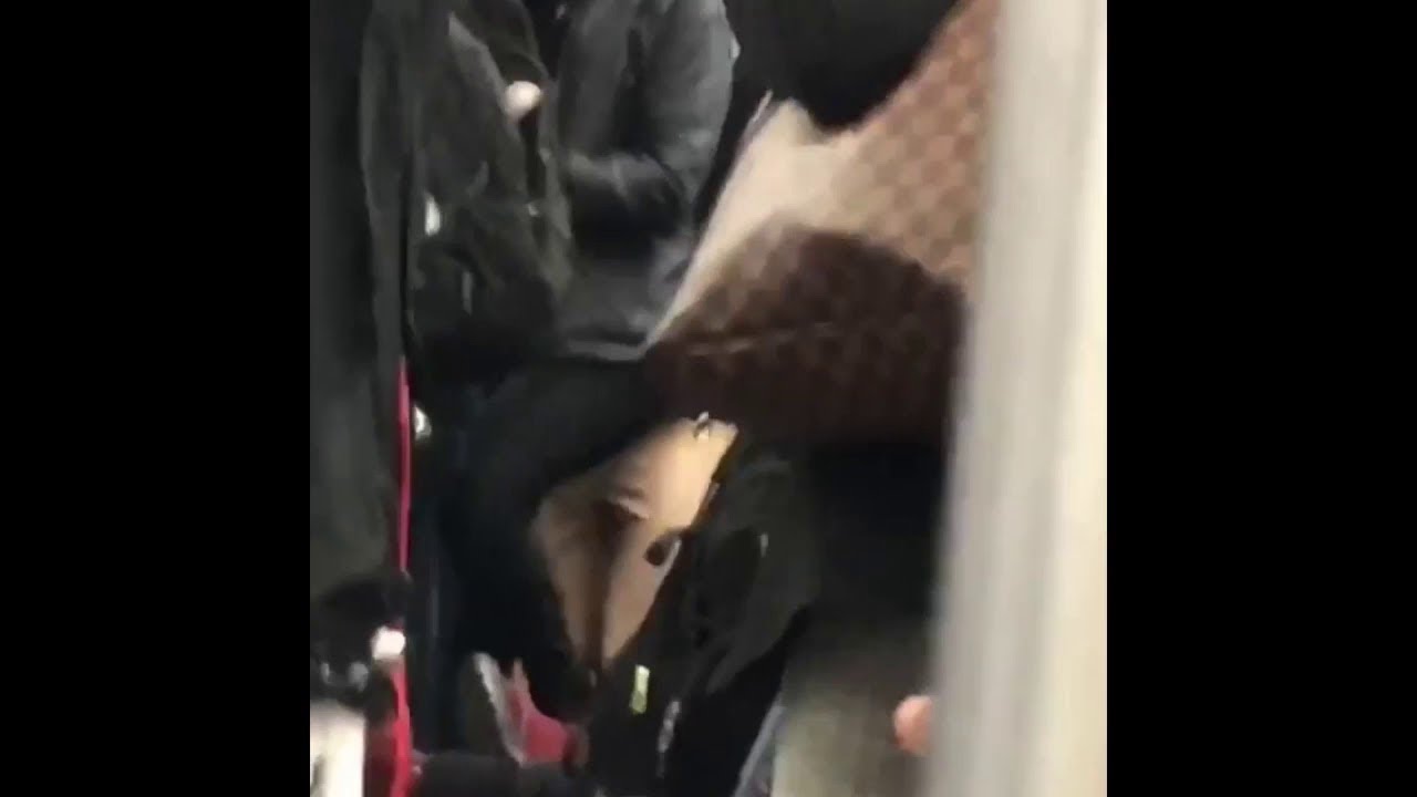 Subway Mouse Startles Commuters || ViralHog