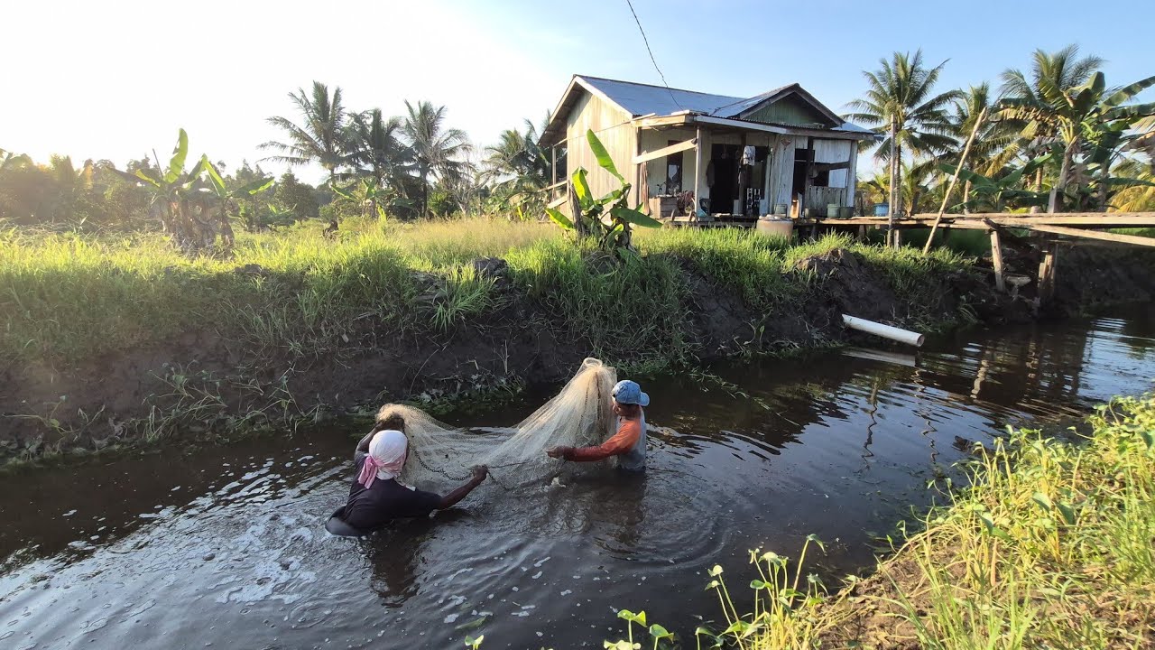 BERBURU SUMBER PROTEIN DI LAHAN RAWA TRANSMIGRASI KALIMANTAN UTARA
