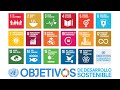 Los Objetivos de Desarrollo Sostenible y sus diferencias con los Objetivos de Desarrollo del Milenio