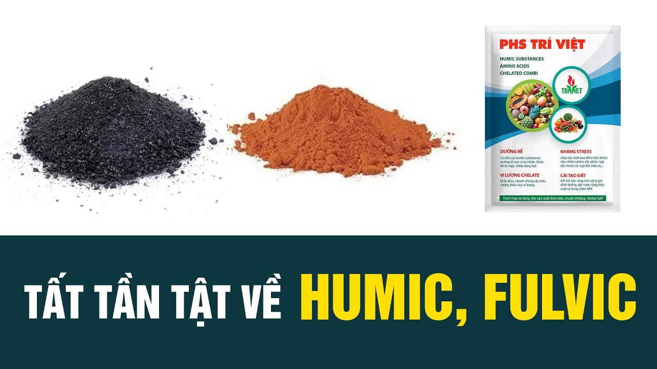 TẤT TẦN TẬT VỀ HUMIC VÀ FULVIC – GIẢI PHÁP VÀNG CHO ĐẤT KHỎE, CÂY MẠNH