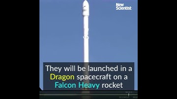 SpaceX plans to send two civilians around the moon