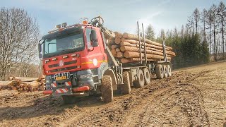 SMYKY S FŮROU NA LOUCE | TATRA PHOENIX 8X8