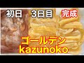 黄色い宝石になるまで。冬の数の子はデカい！！塩数の子の作り方【Herring roe】