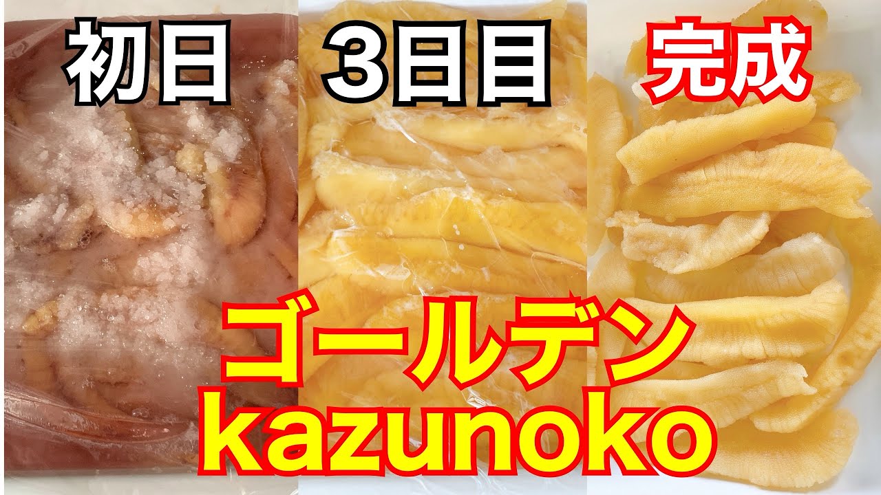 黄色い宝石になるまで。冬の数の子はデカい！！塩数の子の作り方【Herring roe】