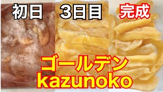 黄色い宝石になるまで。冬の数の子はデカい！！塩数の子の作り方【Herring roe】