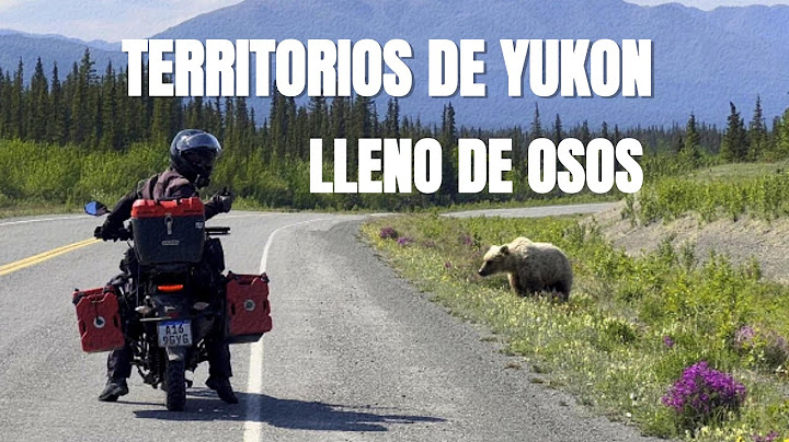 I DIDN'T EXPECT TO SEE SO MANY BEARS IN THE YUKON | Ushuaia, Alaska | EP 39