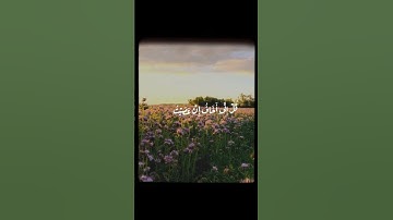 #قرآن كريم[ سورة الزمر الآية : ١٣ ]قُلۡ إِنِّىٓ أَخَافُ إِنۡ عَصَيۡتُ رَبِّى عَذَابَ يَوۡمٍ عَظِيمٍ🤍