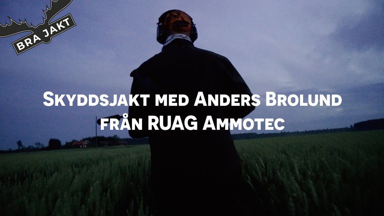 Skyddsjakt på vildsvin | BRA JAKT