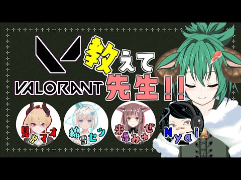 【コラボ 】 教えて！！先生！！初心者ひつじの『 VALORANT 』【 Vtuber 】