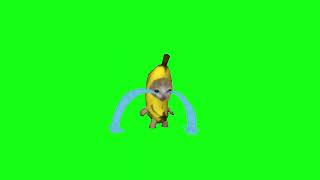 Banana Cat Crying Free Green Screen (1 Min)