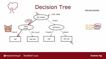 49. [Học Máy Nâng Cao Andrew Ng] - Giới Thiệu Mô Hình Cây Quyết Định