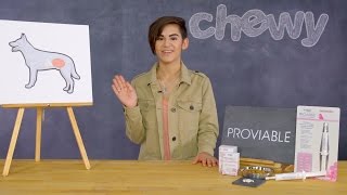 Nutramax Proviable Cat & Dog Supplement | Chewy screenshot 1