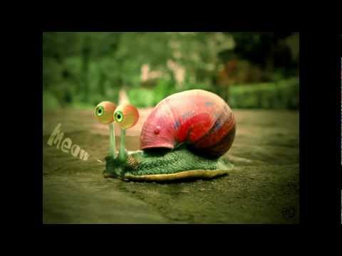 Avrosse - 600km (Original Mix)