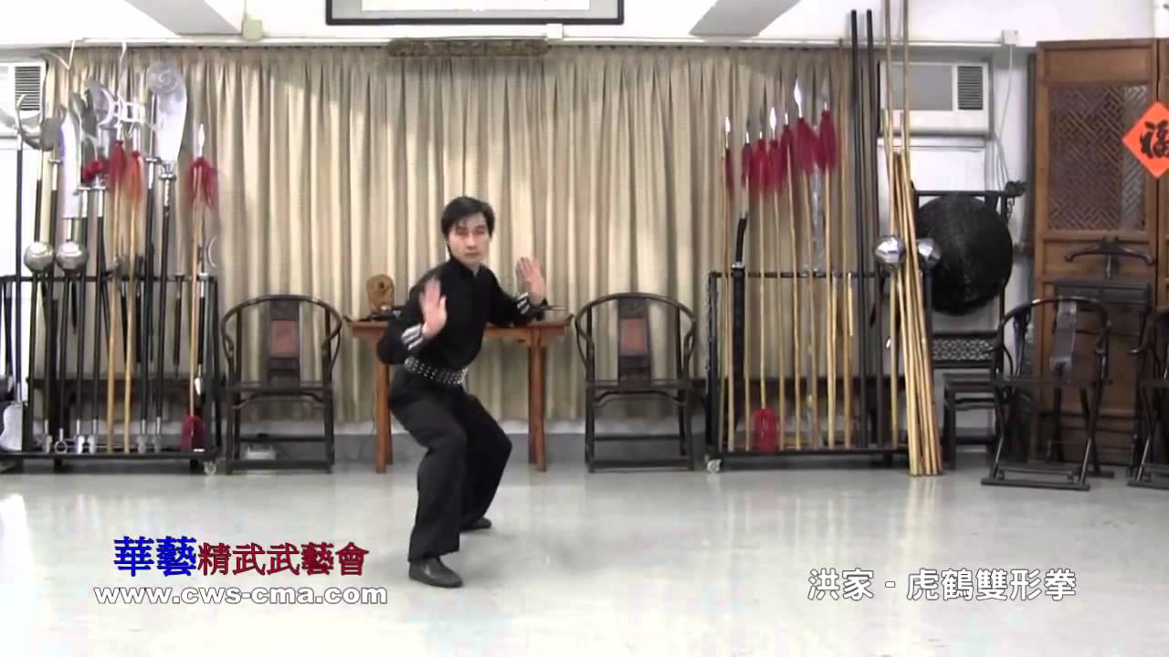 洪家 虎鶴雙形拳及應用 Hong Jia   Tiger Crane Hu He Shuanxing Quan & Application