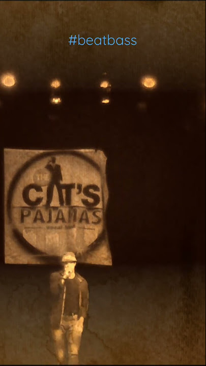 The Cat'S Pajamas - Youtube