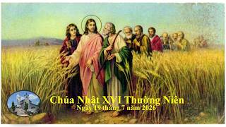 Chúa Nhật XVI Thường Niên. Ngày 19 tháng 7 năm 2026