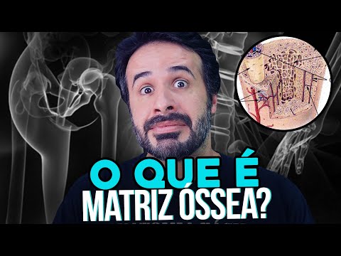 Vídeo: Quais são as funções do sistema canalicular no osso?